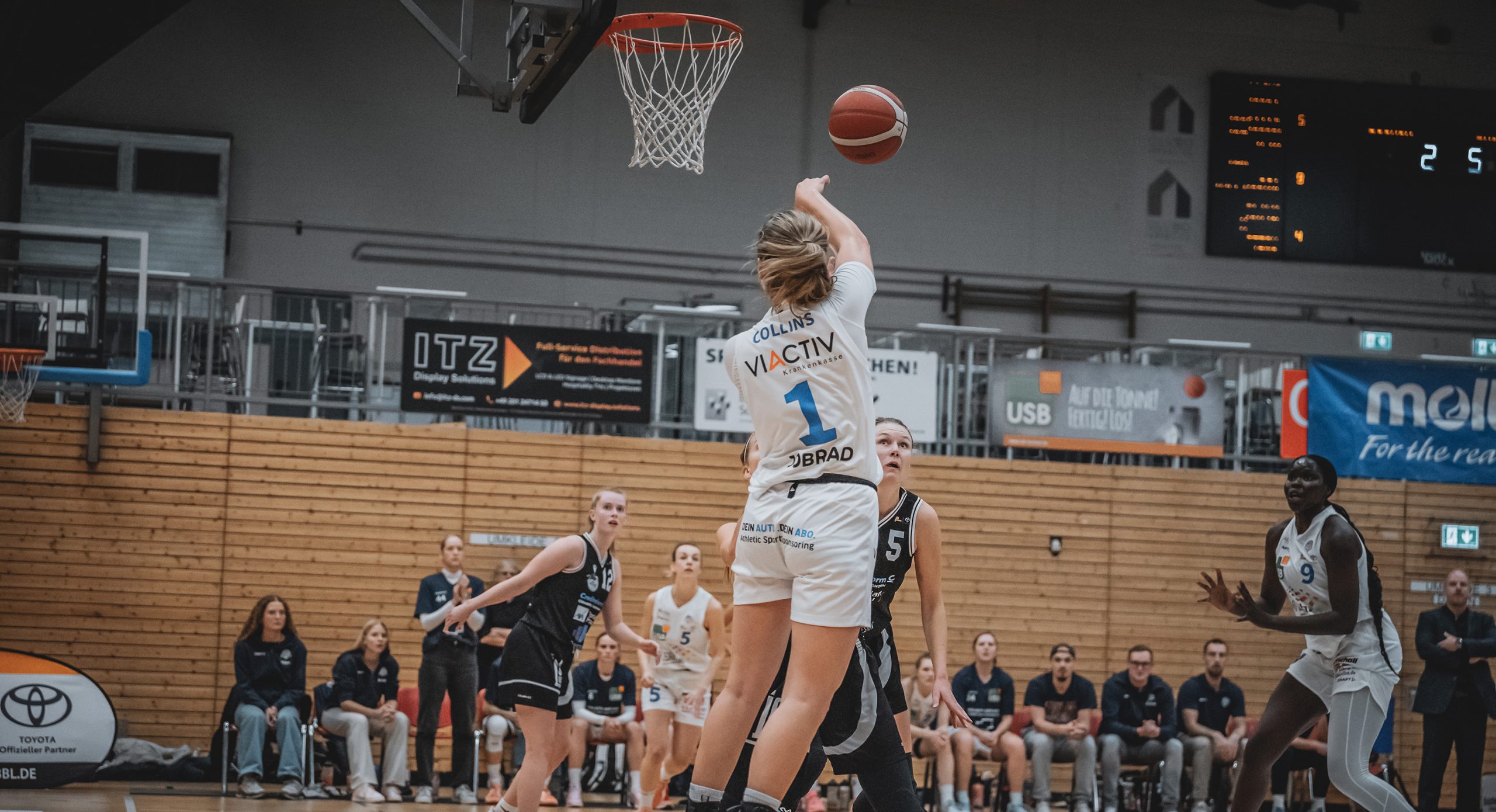 AstroLadies unterliegen Black Bulls beim Saisonauftakt